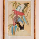 Windrose Parrot' S Nest