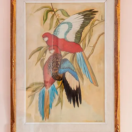 Windrose Parrot' S Nest